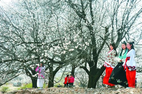 看个球旧版经典赛事封面